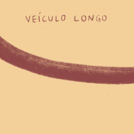 la-casa-rosa-discografica-veiculo-longo-lp-citric-portada