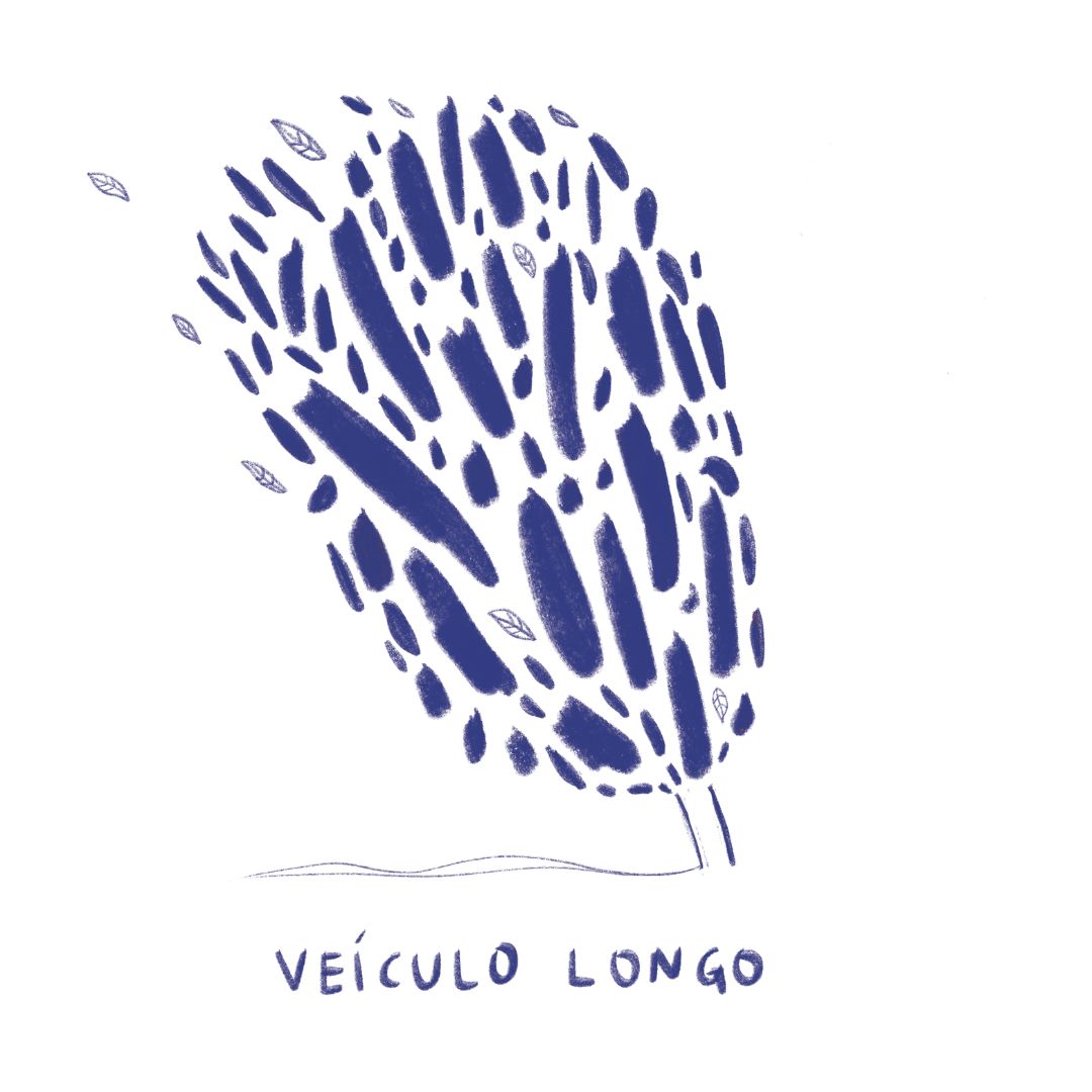 Veículo Longo single
